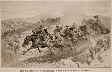 Das Unglück bei Koornspruit: Fahrerlose Teams in Panik, 1900